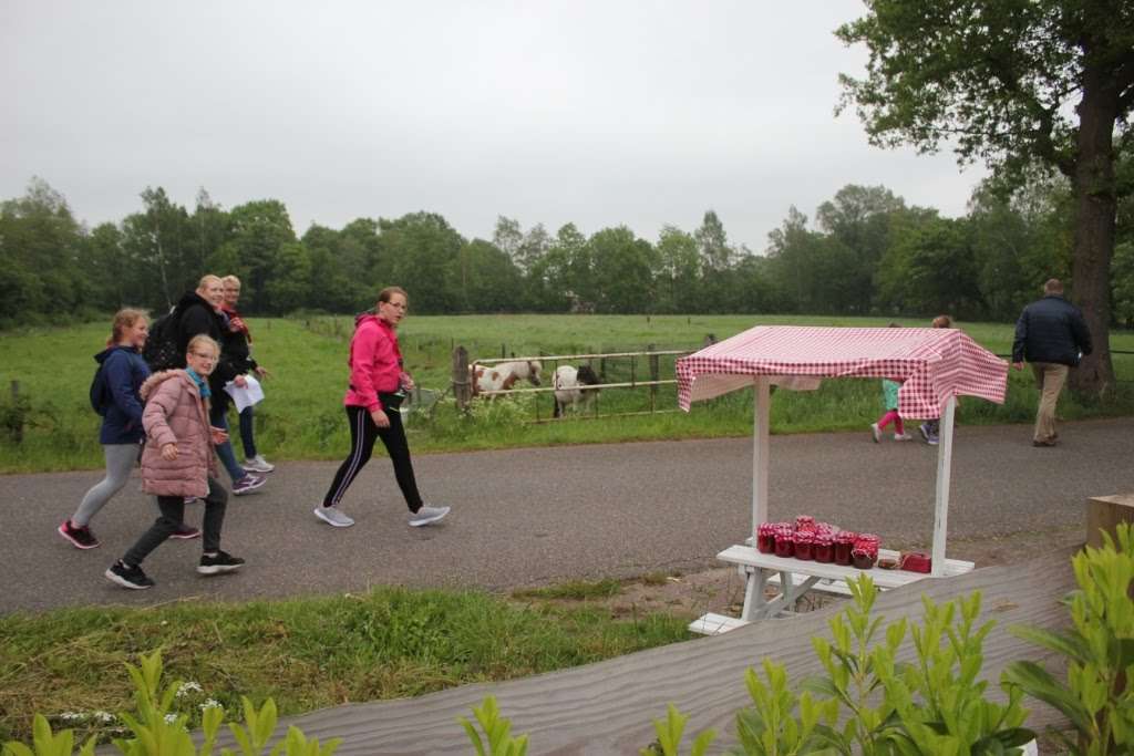 4-daagse 2019 – Dag 1 foto 30