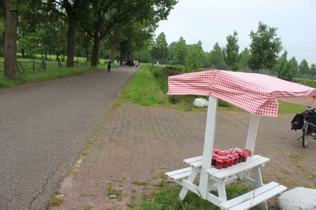 4-daagse 2019 – Dag 1 foto 31