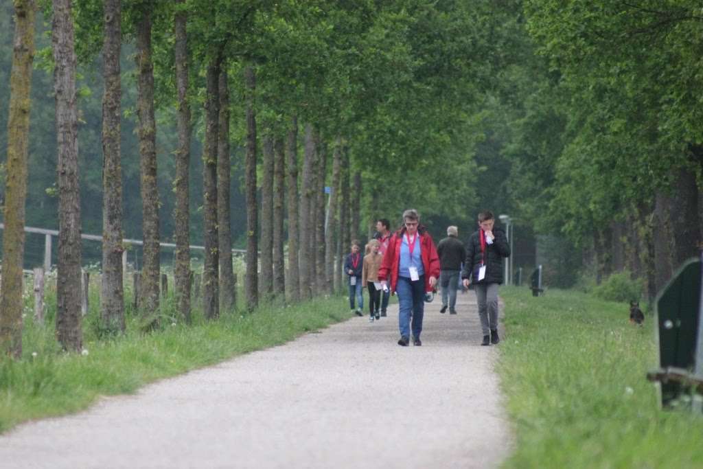 4-daagse 2019 – Dag 1 foto 36