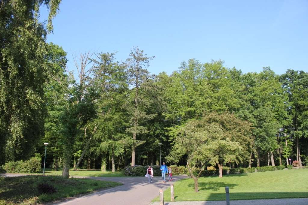 4-daagse 2019 – Dag 2 foto 5