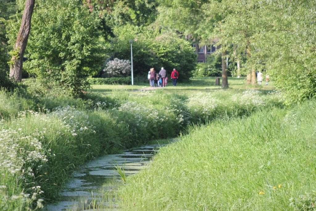 4-daagse 2019 – Dag 2 foto 9