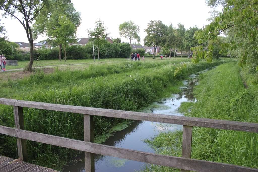 4-daagse 2019 – Dag 2 foto 11