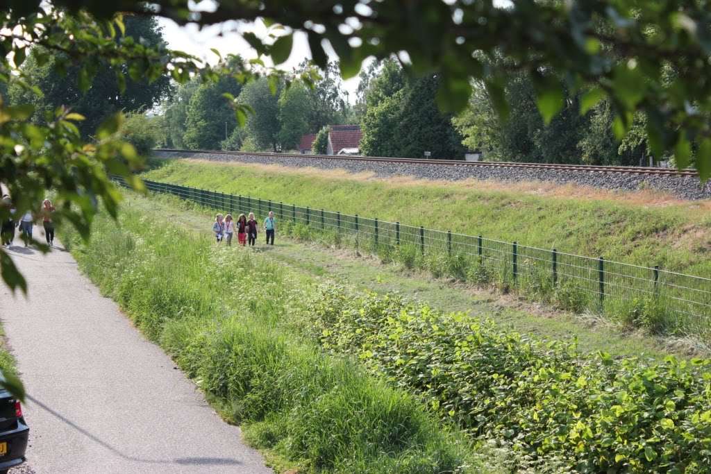 4-daagse 2019 – Dag 3 foto 2