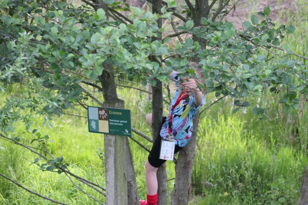 4-daagse 2019 – Dag 3 foto 5
