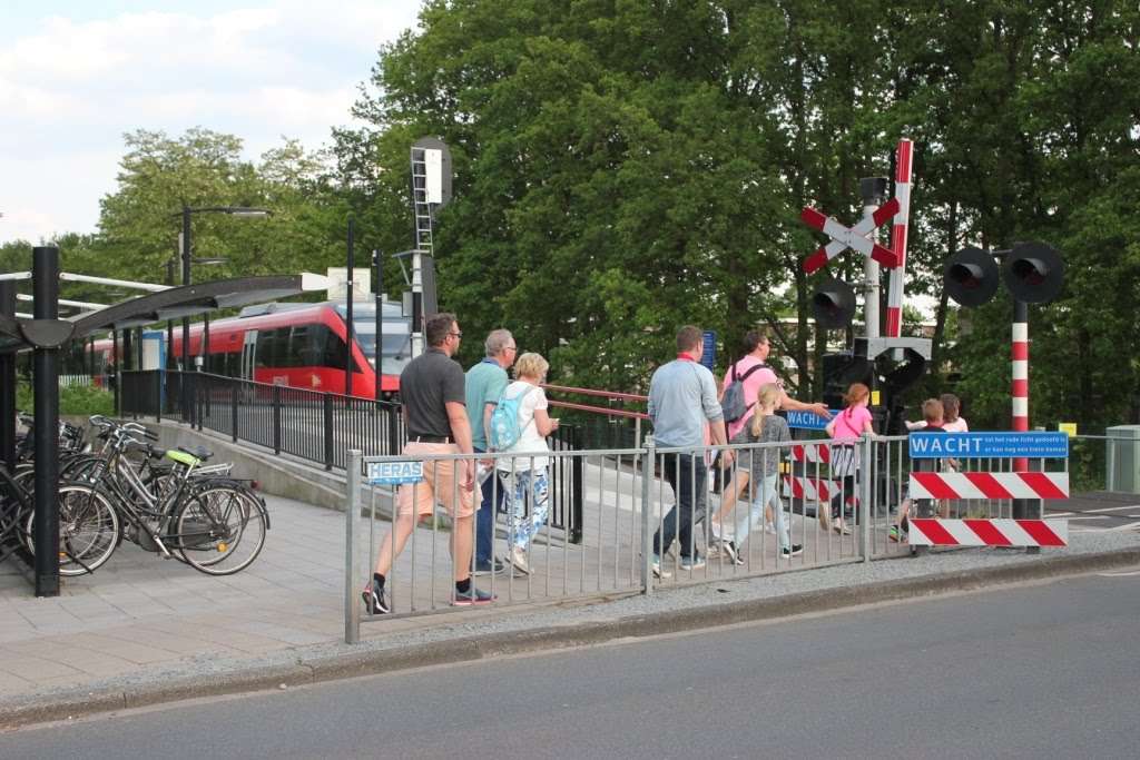 4-daagse 2019 – Dag 3 foto 24