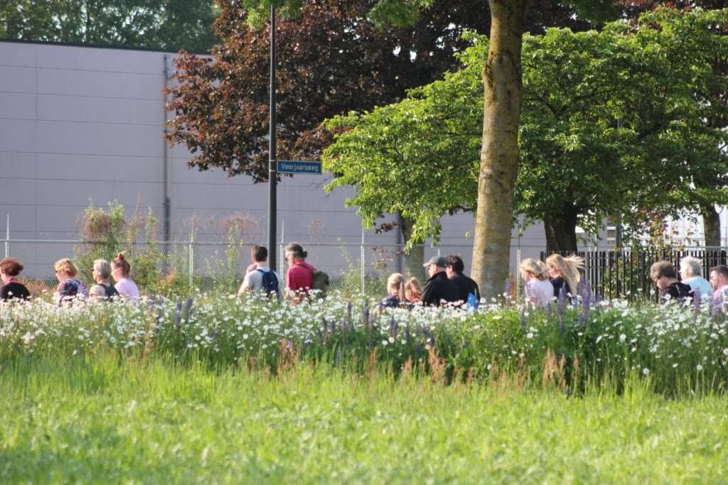 4-daagse 2019 – Dag 4 foto 42