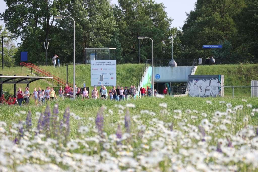 4-daagse 2019 – Dag 4 foto 43
