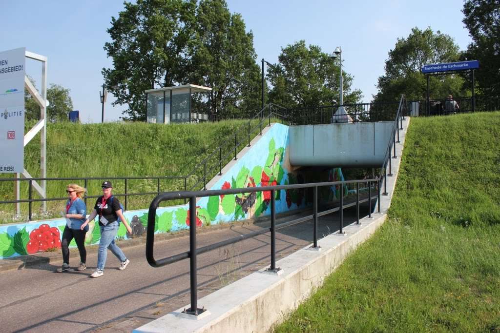 4-daagse 2019 – Dag 4 foto 48