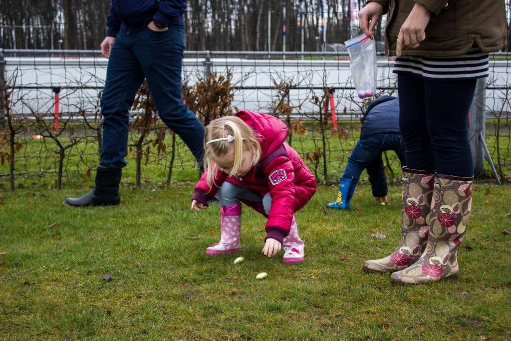 Paaseieren zoeken 2016 foto 4