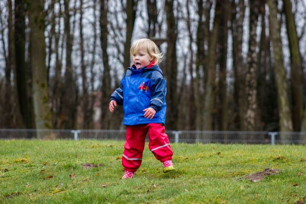 Paaseieren zoeken 2016 foto 23