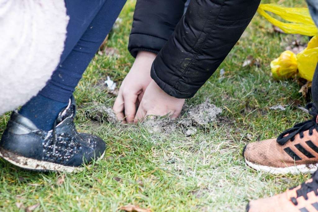 Paaseieren zoeken 2016 foto 36